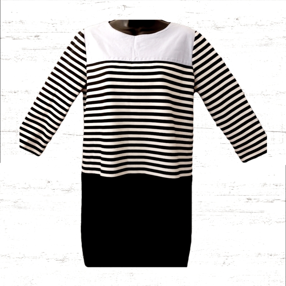 Women's Loft(Ann Taylor) Dress